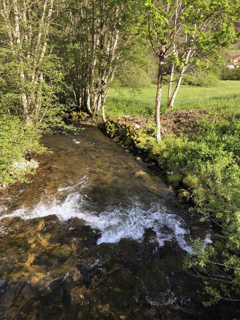 Gîte le télémark - La Valserine