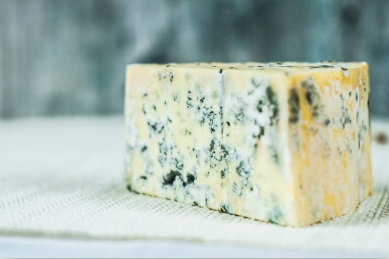 Bleue de gex gite le telemark-light