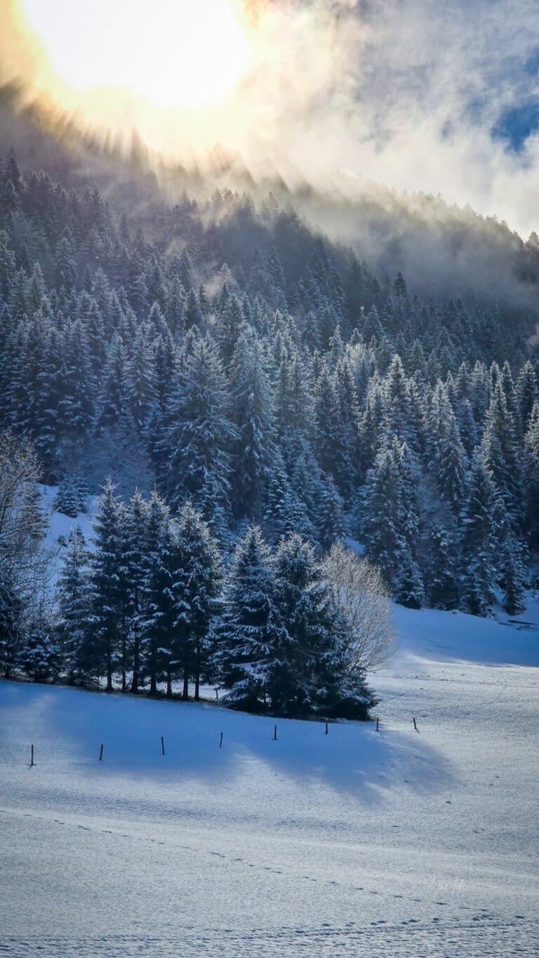onelife photographie paysage mijoux lelex lajoux (22) light