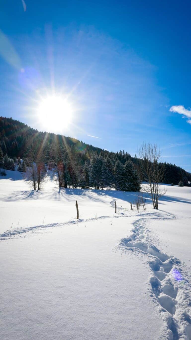 onelife photographie paysage mijoux lelex lajoux (5) light