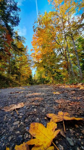 onelife photographie paysage mijoux lelex lajoux (17) light